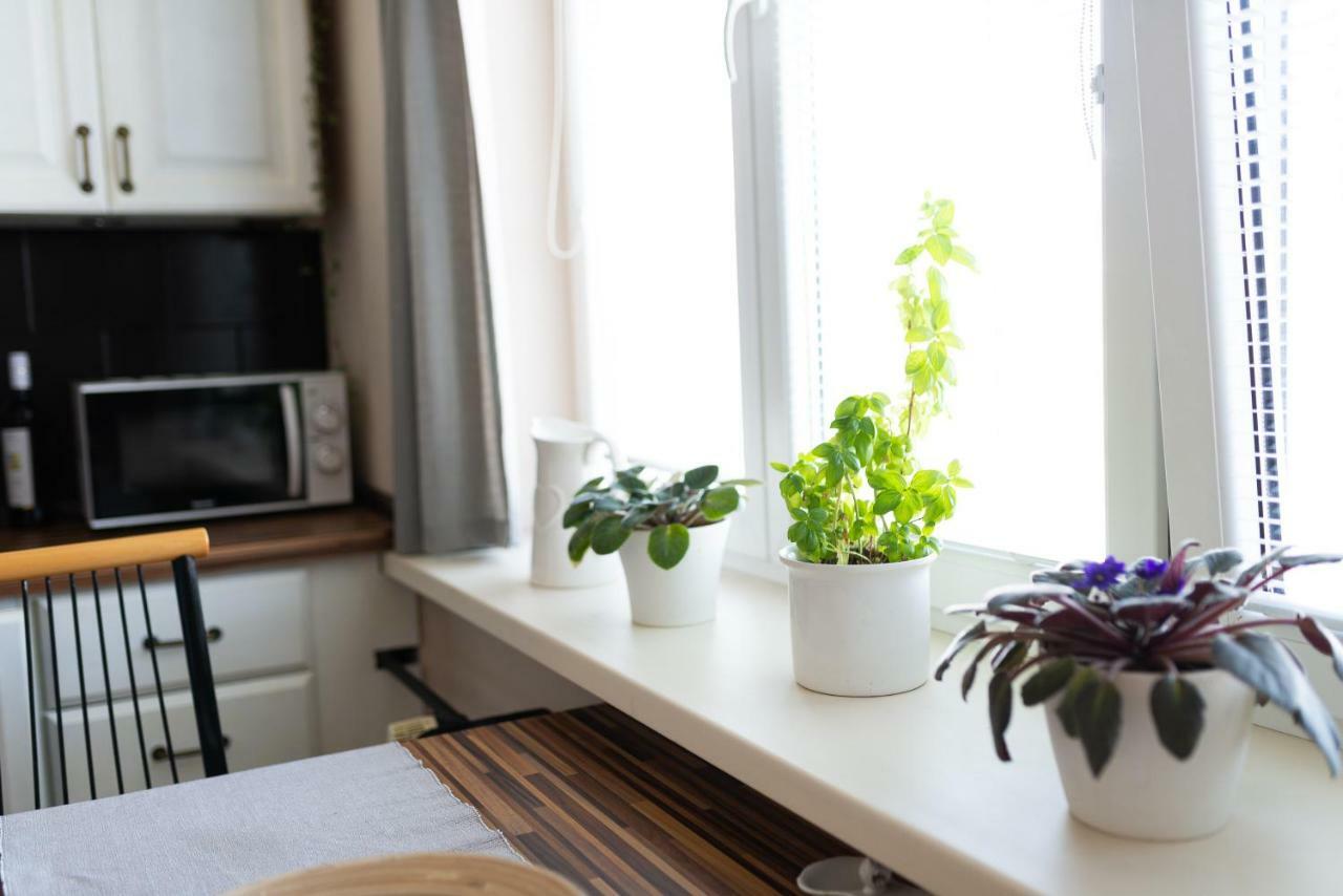 Old Town Vintage Apartment Sturova Košice Extérieur photo